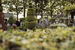 galerie-18-scaled